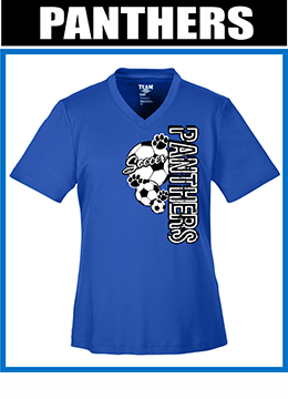 free sample Soccer shirt Panthers